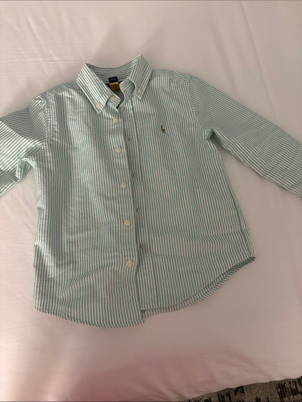Ralph Lauren Kids Light Green and White Striped Button-Down Shirt